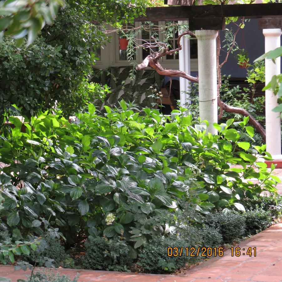 Hotel Boutique Quinta Maria Santa Cruz Zewnętrze zdjęcie