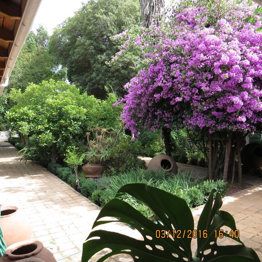 Hotel Boutique Quinta Maria Santa Cruz Zewnętrze zdjęcie
