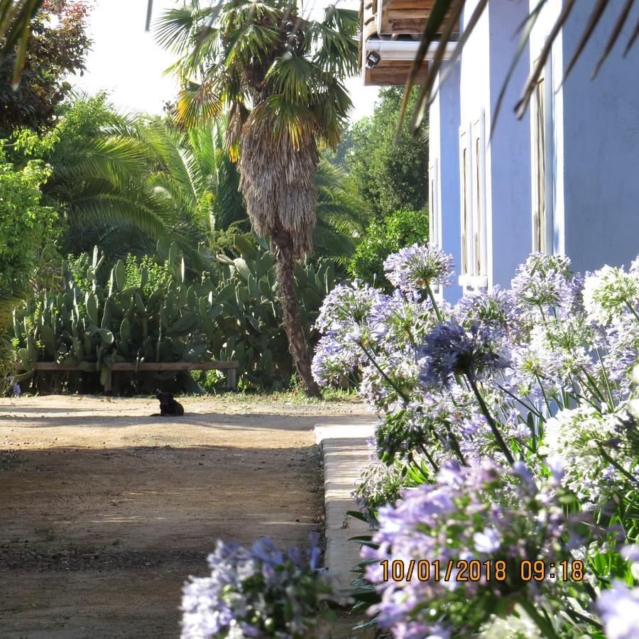 Hotel Boutique Quinta Maria Santa Cruz Zewnętrze zdjęcie