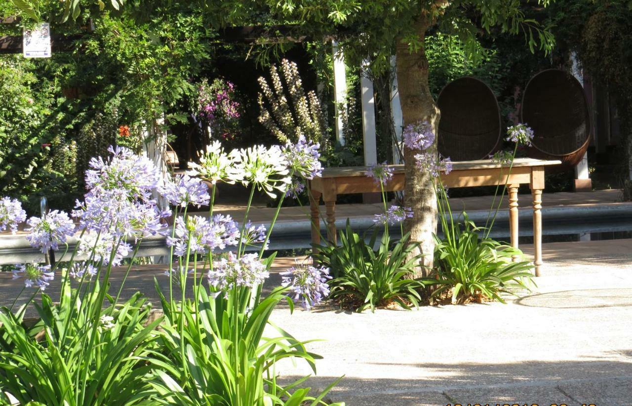 Hotel Boutique Quinta Maria Santa Cruz Zewnętrze zdjęcie