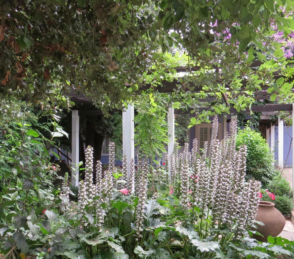 Hotel Boutique Quinta Maria Santa Cruz Zewnętrze zdjęcie